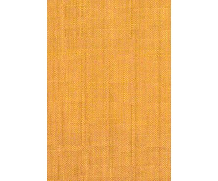 Штора рулонная Ле-Гранд Декор 42,5х160 см, цвет оранжевый Фотография_0