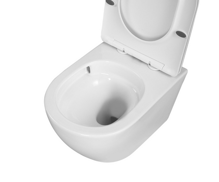 Унитаз подвесной безободковый EG103T тонкое сиденье ДП круговой смыв (с гофрой и подводкой) EVA GOLD Фотография_2