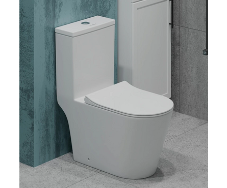 Унитаз-монолит Т1084 безободковый тонкое сиденье ДП (с гофрой и подводкой) EVA GOLD Фотография_1