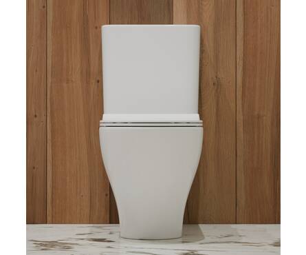 Унитаз-монолит безободковый EVAGOLD Т1085 тонкое сиденье ДП (с гофрой и подводкой) Фотография_3