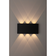 Светильник настенный 6 Вт WL12 BK декоративный черный IP54 ЭРА Фотография_2