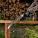 Пила садовая Sparta 310 мм, деревянная рукоятка Фотография_1