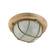 Светильник Элетех «Терма» 1302, круг малый матовый, корпус с решеткой, дерево, 60 Вт, IP65   Фотография_0