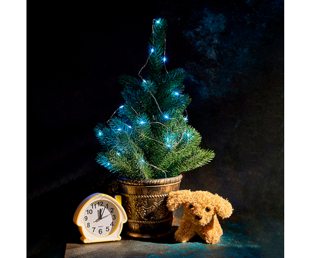 Гирлянда светодиодная 2 м 20 LED ламп, бирюзовая, на батарейках Neon-night Роса Фотография_1