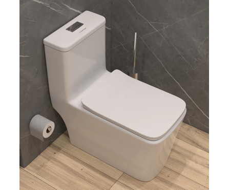 Унитаз-монолит SM9616 безободковый тонкое сиденье ДП (с гофрой и подводкой) EVA GOLD Фотография_1