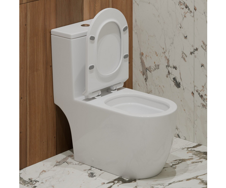 Унитаз-монолит Т1088 безободковый тонкое сиденье ДП (с гофрой и подводкой) EVA GOLD Фотография_3