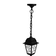 Светильник Duwi Lousanne подвесной, черный, 60 Вт,Е27, IP 44 Фотография_0