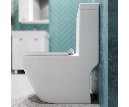 Унитаз-монолит 5005 безободковый, сиденье ДП (с гофрой и подводкой) EVA GOLD Фотография_2