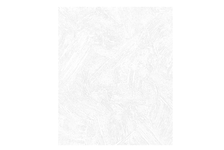 Обои флизелиновые под покраску Erismann 2540-1 (25 м²/рулон) цвет белый