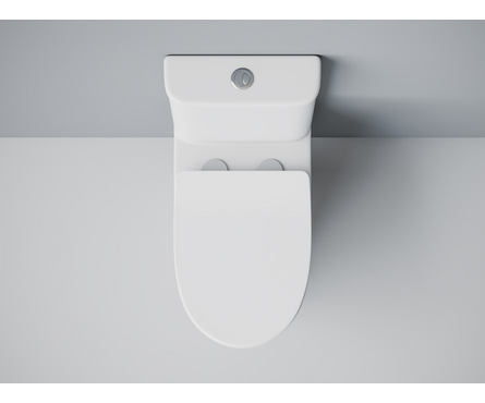 Унитаз-монолит SM9614 безоботковый тонкое сиденье ДП (с гофрой и подводкой) EVA GOLD Фотография_2