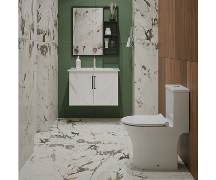 Унитаз-монолит ТR1197 безободковый тонкое сиденье ДП (с гофрой и подводкой) EVA GOLD Фотография_2