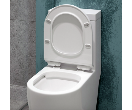 Унитаз-монолит 5005 безободковый, сиденье ДП (с гофрой и подводкой) EVA GOLD Фотография_3