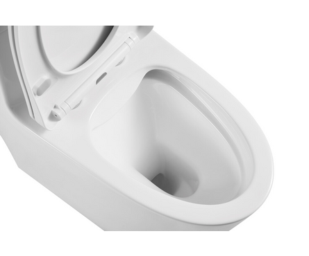 Унитаз-монолит 5003 безободковый тонкое сиденье ДП (с гофрой и подводкой) EVA GOLD Фотография_4